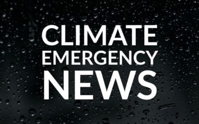 Council Support for CEE Bill