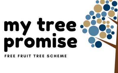 Tree Promise Update