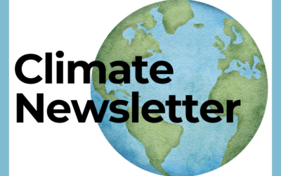 Climate Emergency Newsletter Article.