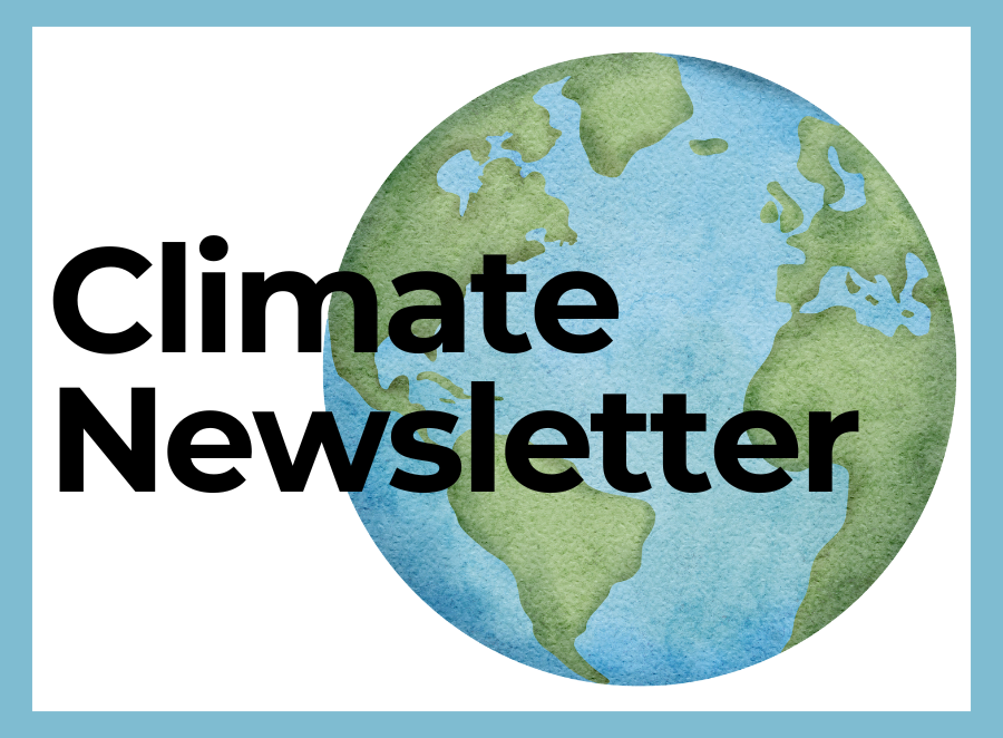 Climate Emergency Newsletter Article.