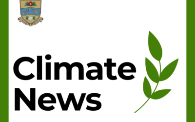 A Heartfelt Thank You: Reflecting on Todmorden Tomorrow Festival