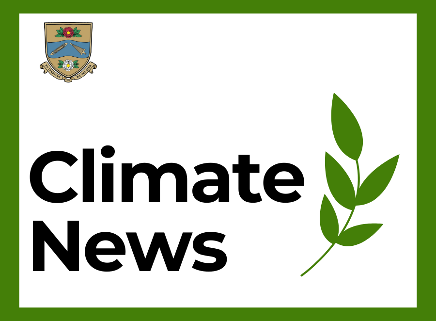 A Heartfelt Thank You: Reflecting on Todmorden Tomorrow Festival